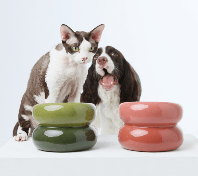 Soufflé Pet Bowl - Amber Orange - Eco4life Clothing and Accessories