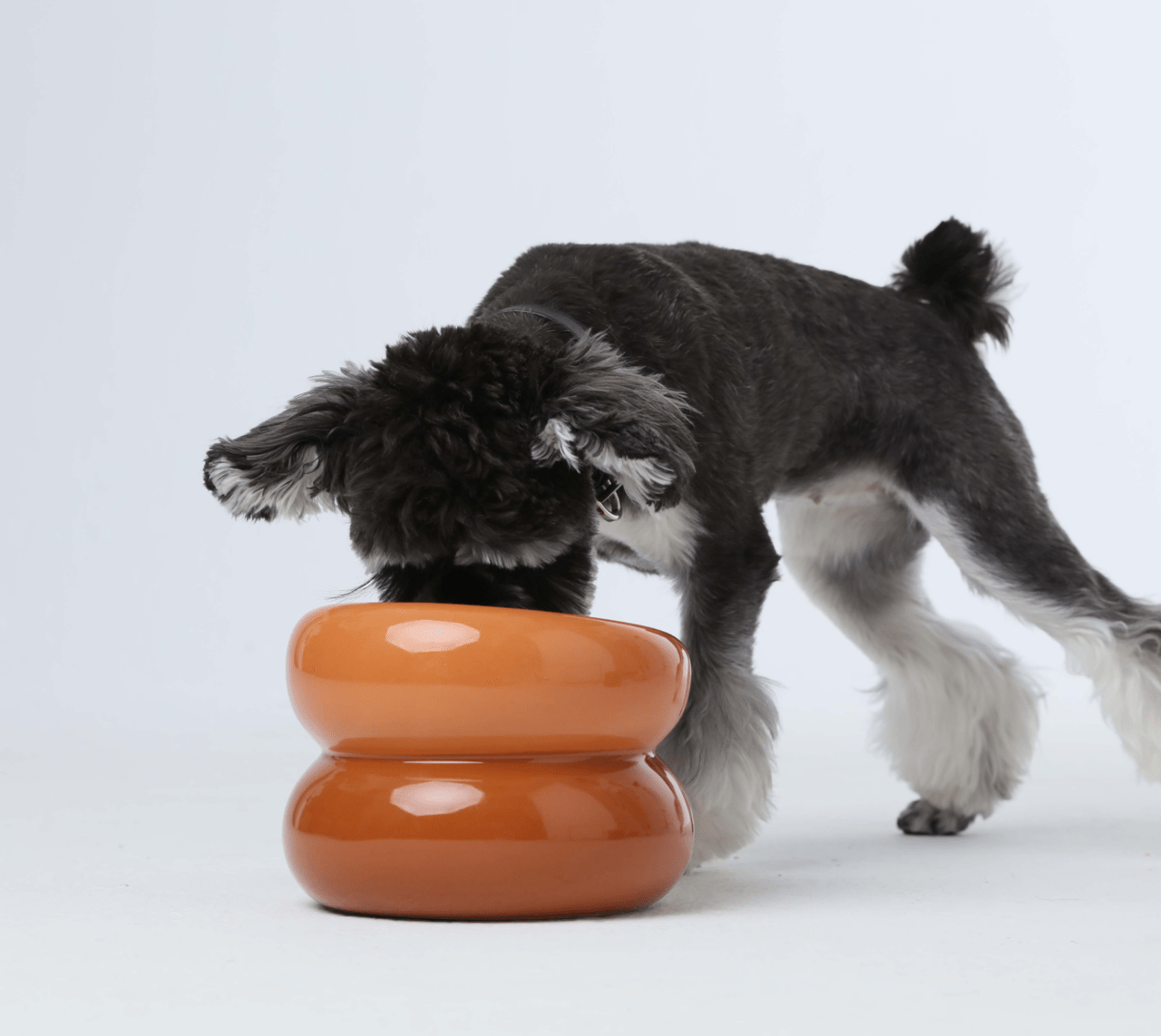 Soufflé Pet Bowl - Amber Orange - Eco4life Clothing and Accessories