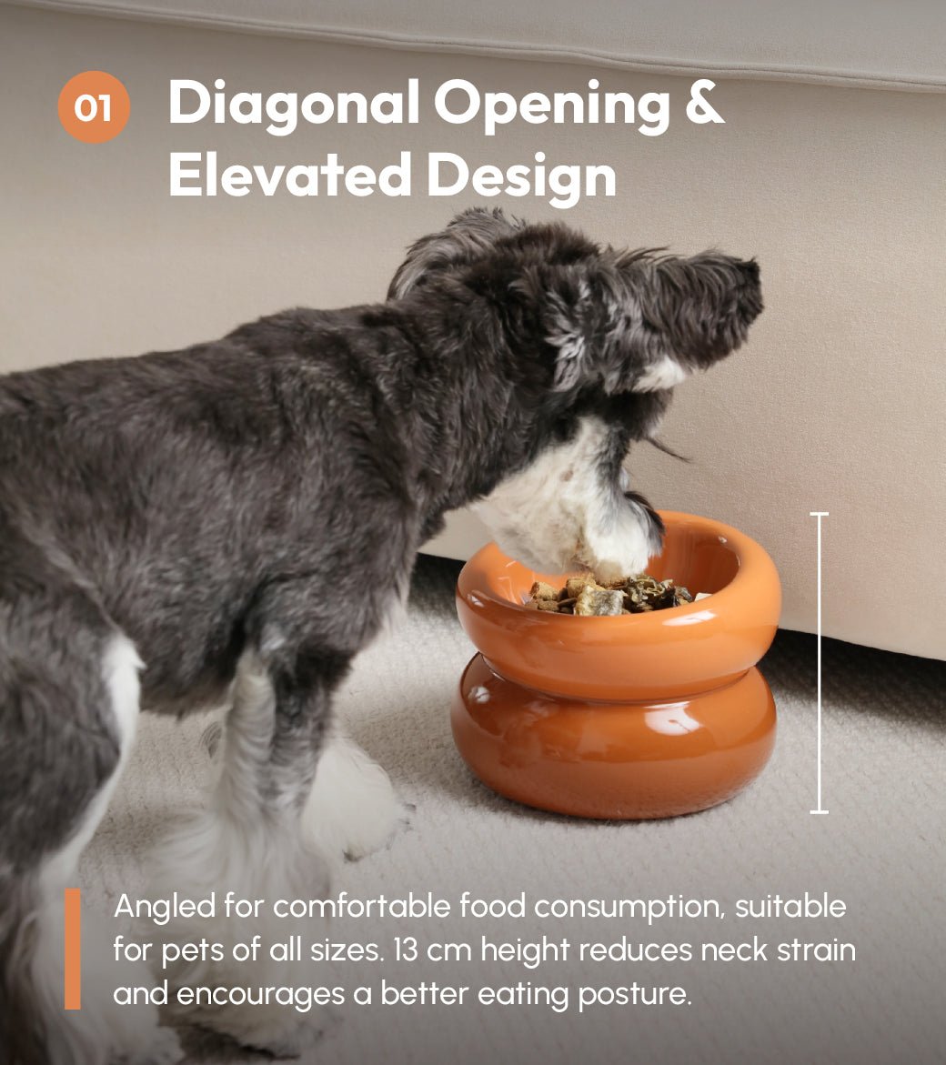 Soufflé Pet Bowl - Amber Orange - Eco4life Clothing and Accessories