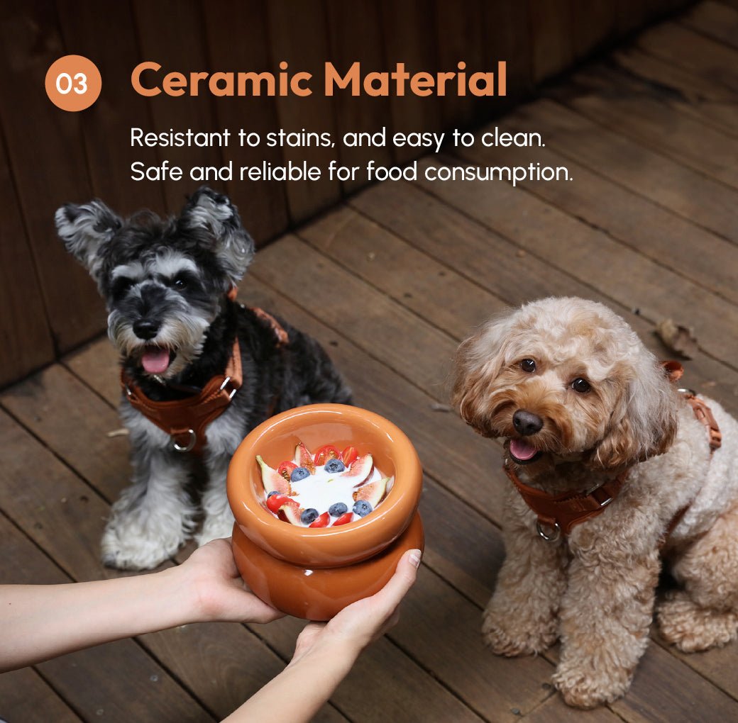 Soufflé Pet Bowl - Amber Orange - Eco4life Clothing and Accessories