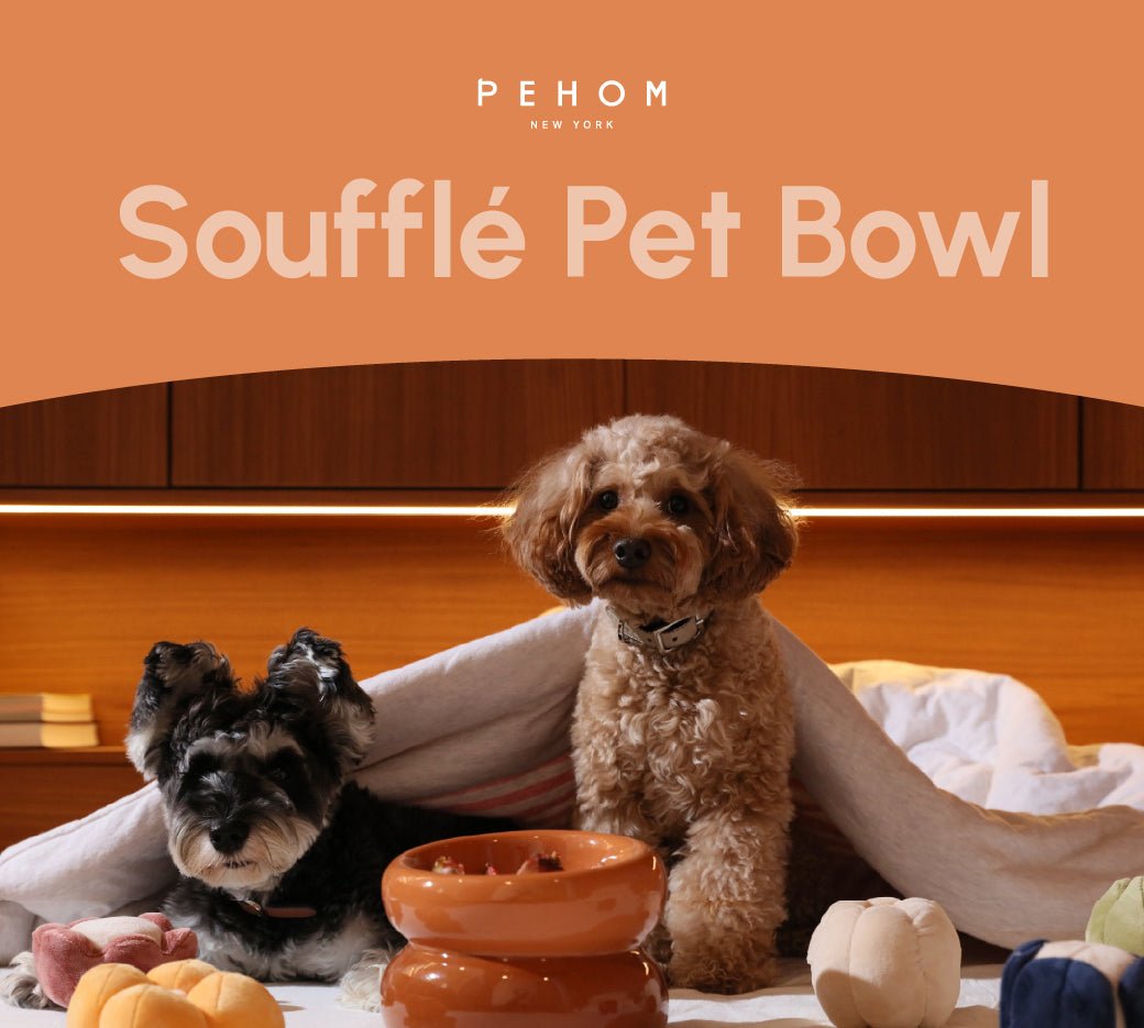 Soufflé Pet Bowl - Amber Orange - Eco4life Clothing and Accessories