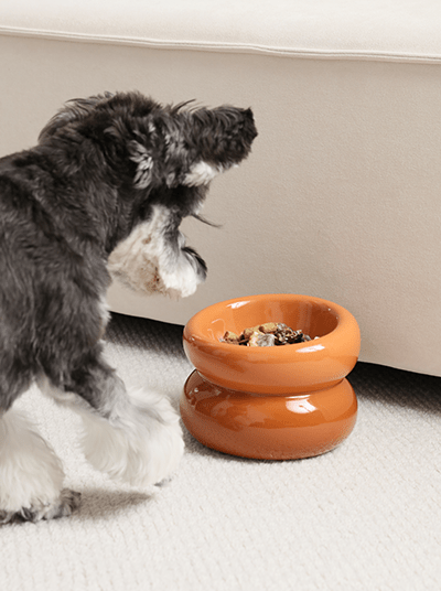 Soufflé Pet Bowl - Amber Orange - Eco4life Clothing and Accessories